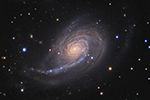 NGC 772